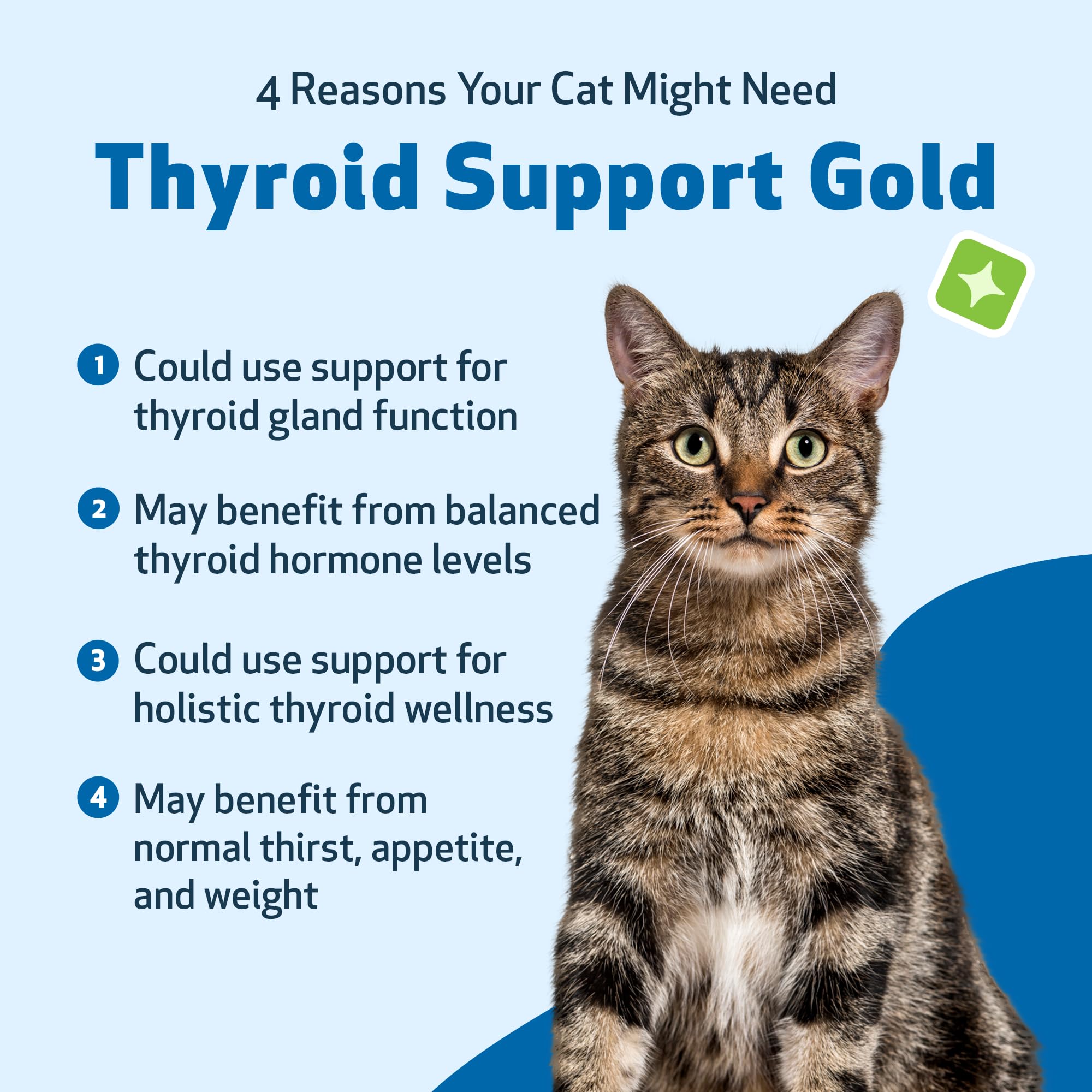 Pet Wellbeing Thyroid Support Gold liquid pour showing fast absorption