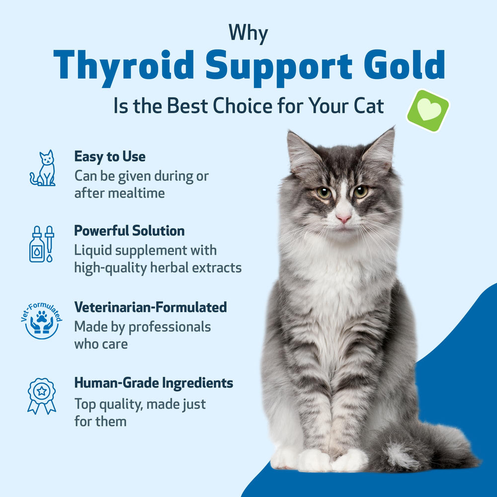 Pet Wellbeing Thyroid Support Gold vet-formulated balance for holistic health