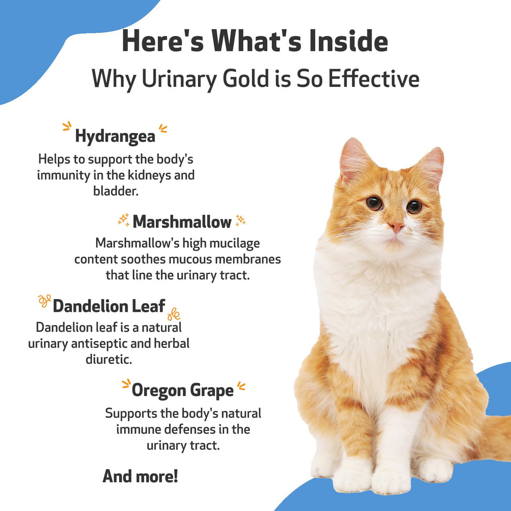 Pet Wellbeing Urinary Gold bottle near a food bowl, suggesting easy daily integration.