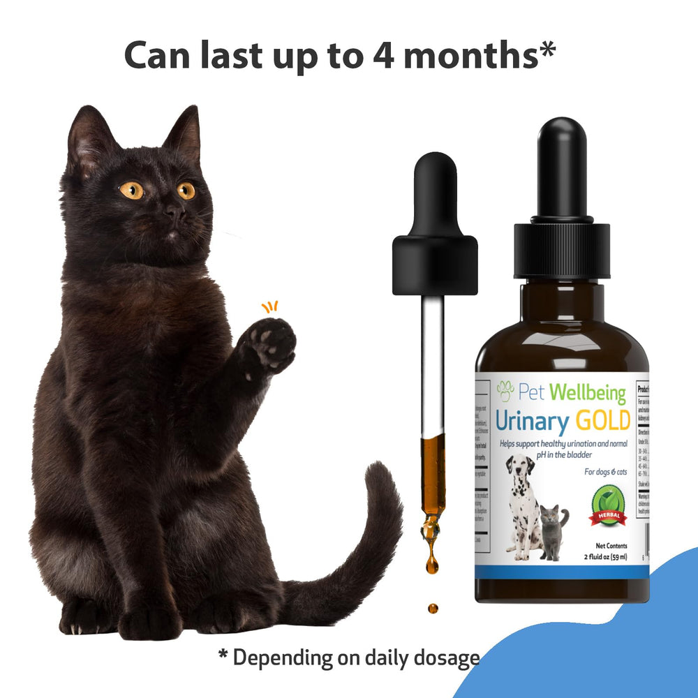 Pet Wellbeing Urinary Gold dosage guide for cats displayed with the product.