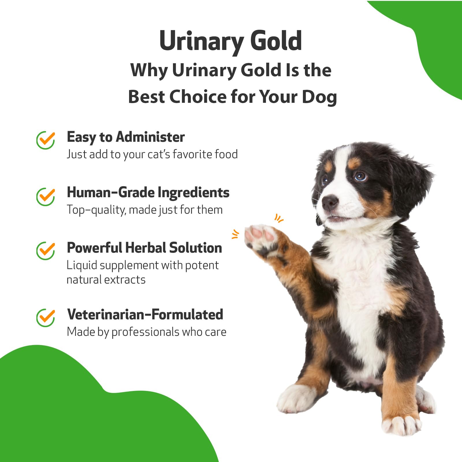 Pet Wellbeing Urinary Gold dropper dispensing liquid for easy dog dosing