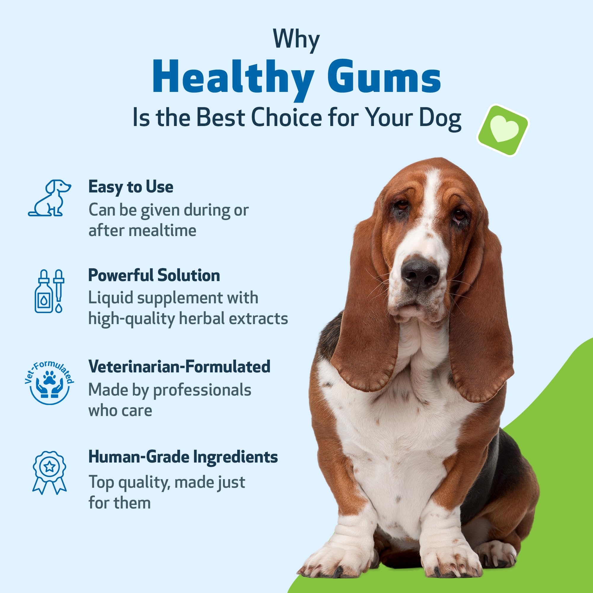 Pet Wellbeing Vet-formulated drops featuring clinical guidance on dental health.