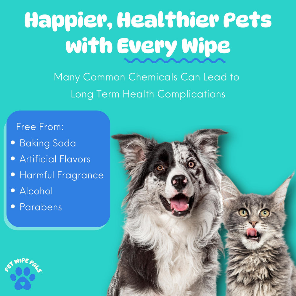Pet Wipe Pals cat and dog dental routine in action