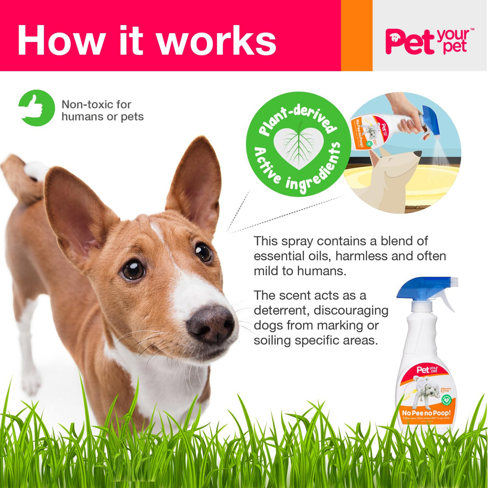 PET YOUR PET No Pee No Poop spray used indoors and outdoors for training.