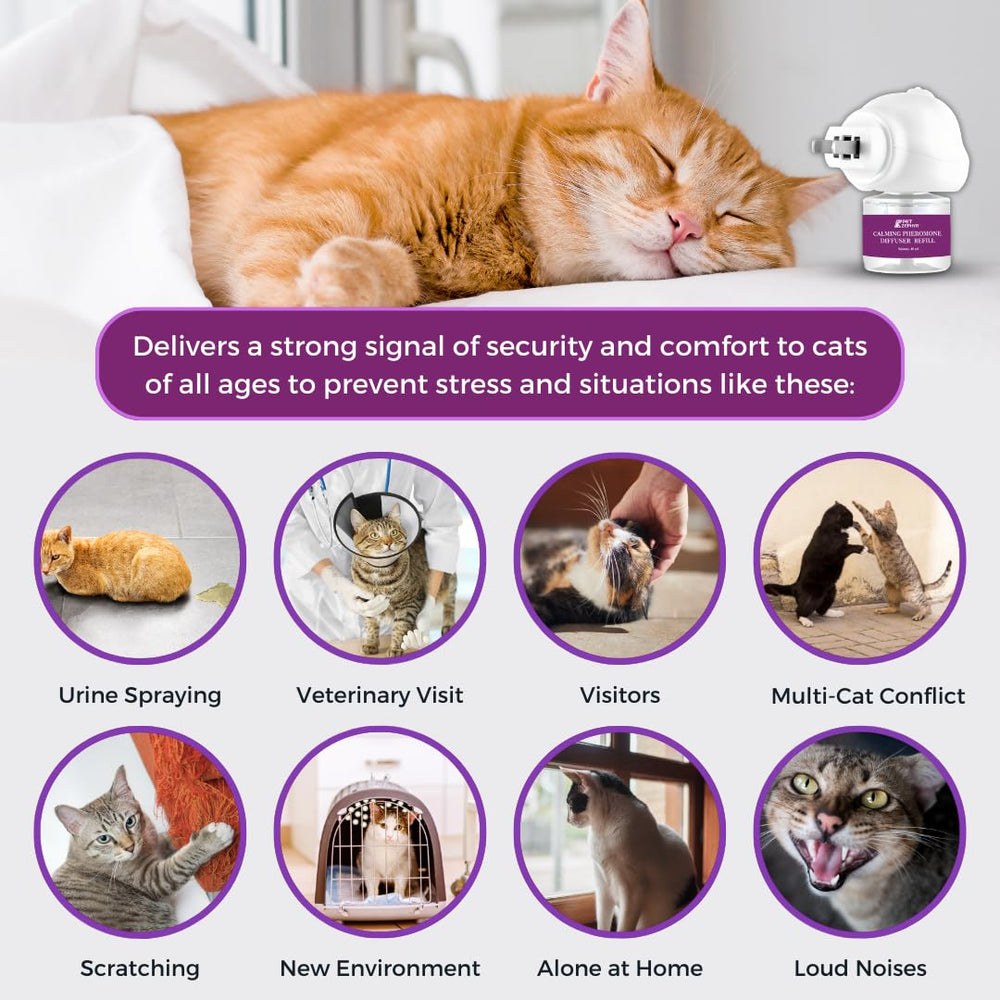Pet Zephyr easy-to-use-refill for regular maintenance of calm spaces.