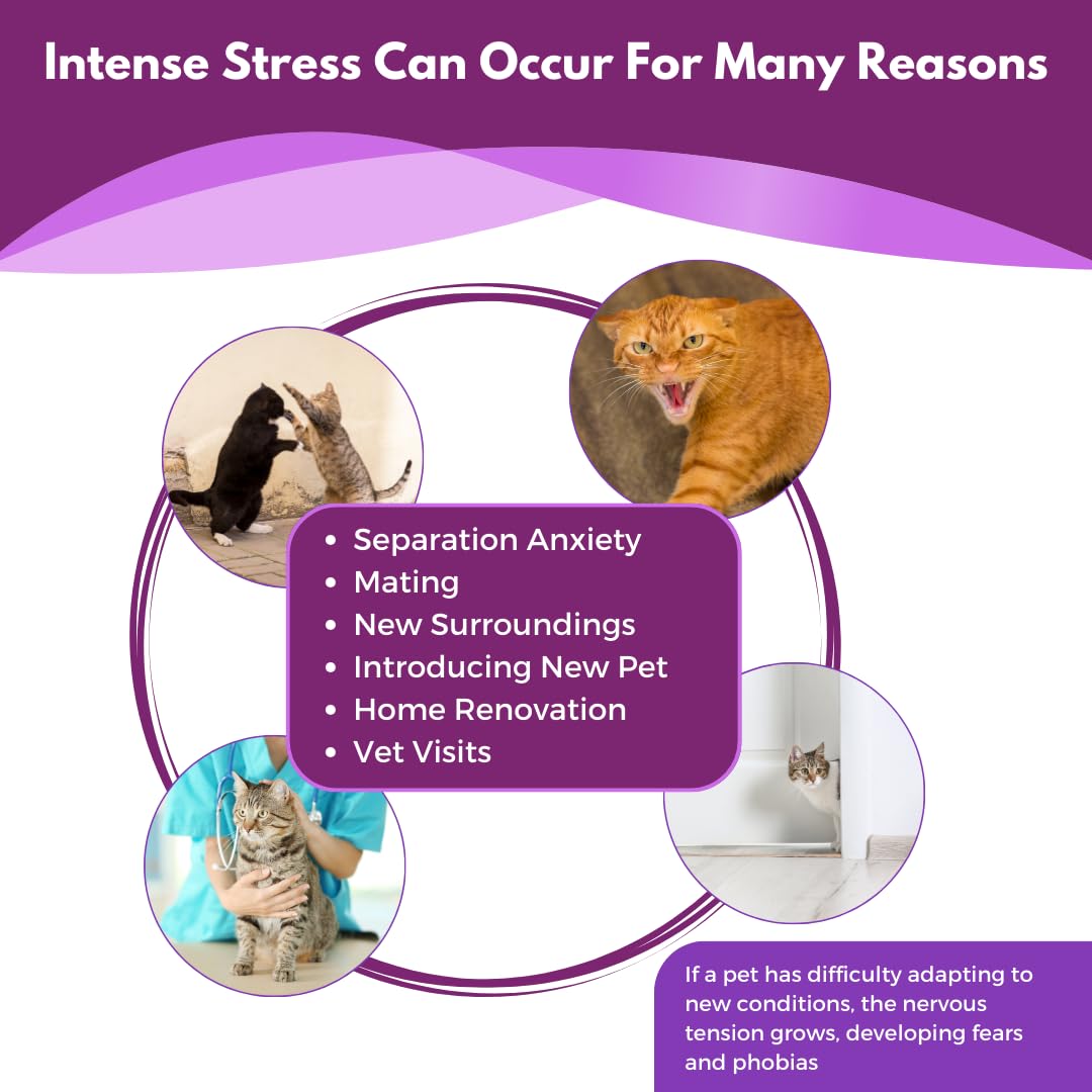 Pet Zephyr in-use-pack placed in cat hangouts reduces stress signals.