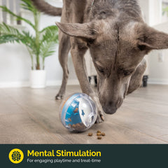 Pet Zone IQ Treat Ball dispensing action captures treats rolling out for canine problem-solving.