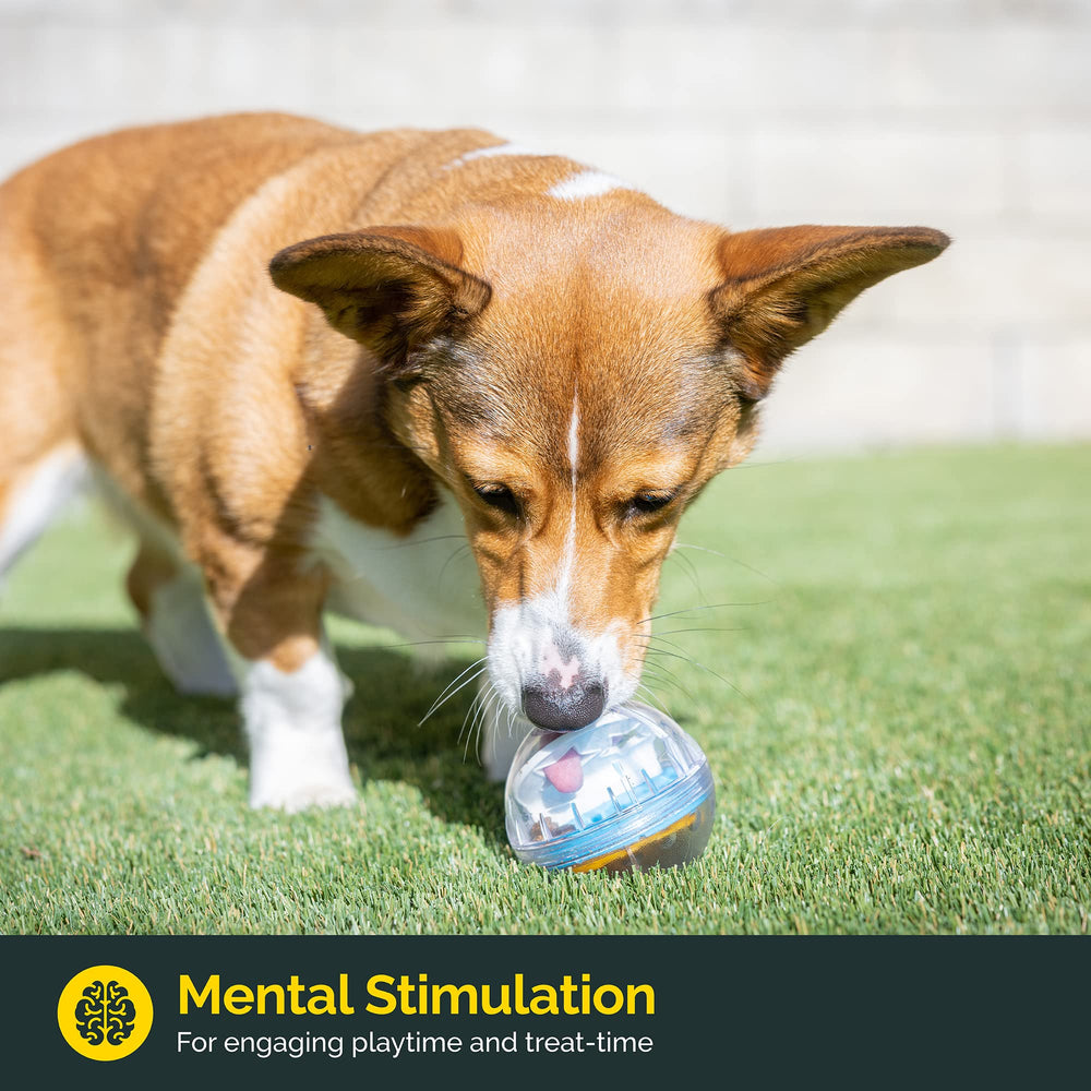 Pet Zone IQ Treat Ball in-use roll-to-dispense demonstrates treat rewards on the go.