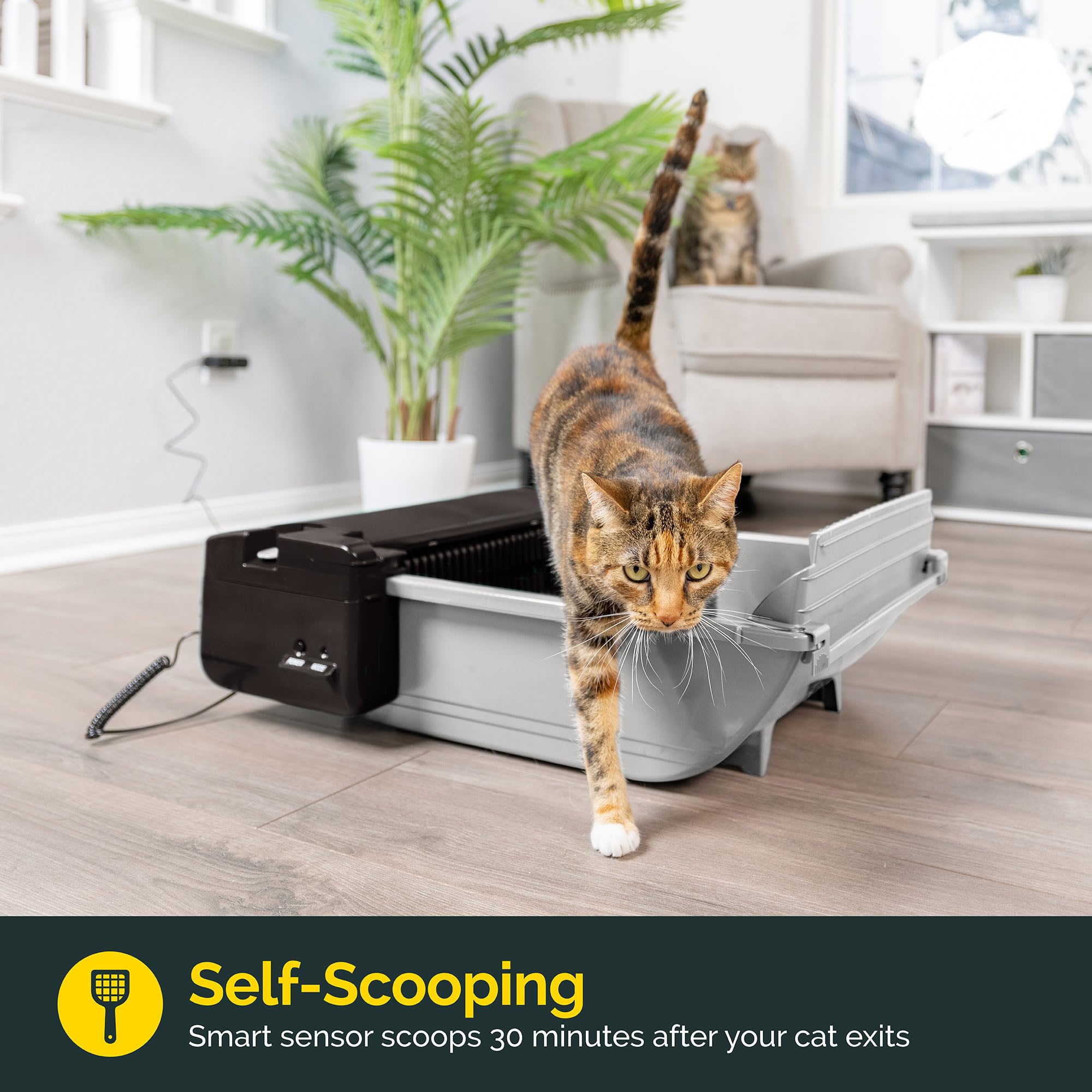 Pet Zone Smart Scoop self-cleaning action demonstrates hands-free convenience for clean litter disposal.