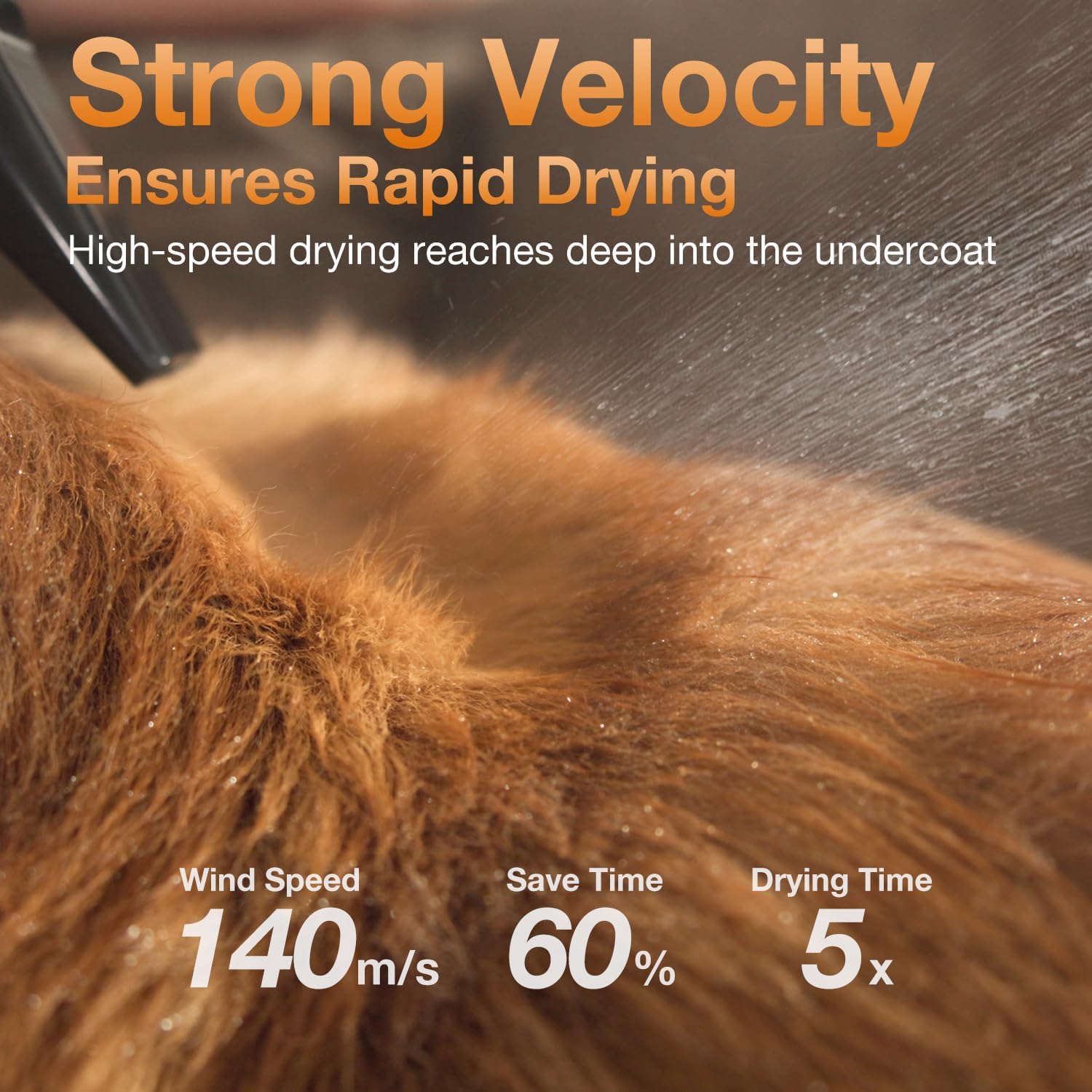 Petaboo dog dryer ultra-quiet 40dB cat mode for sensitive pets.