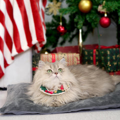 Petace outdoor heated bed loft adjustment demonstrates customizable cushioning for comfort