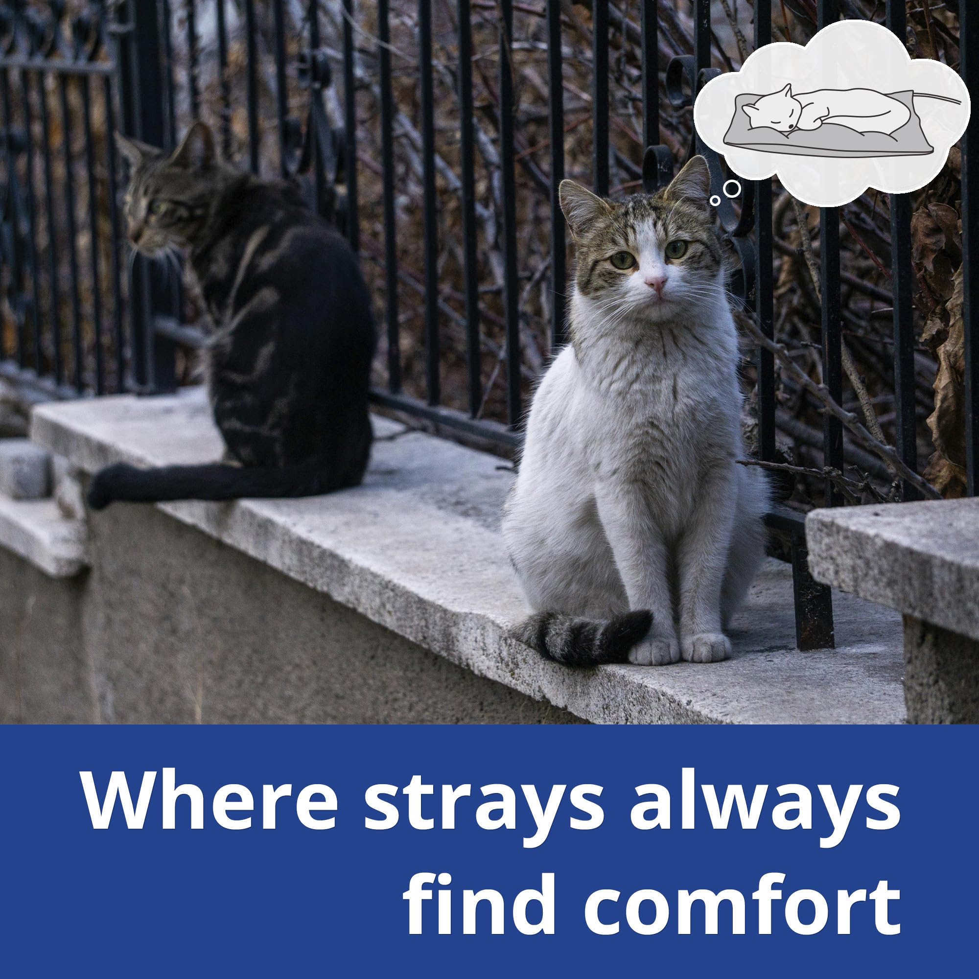 Petace outdoor heated cat bed machine washable cover keeps care simple.