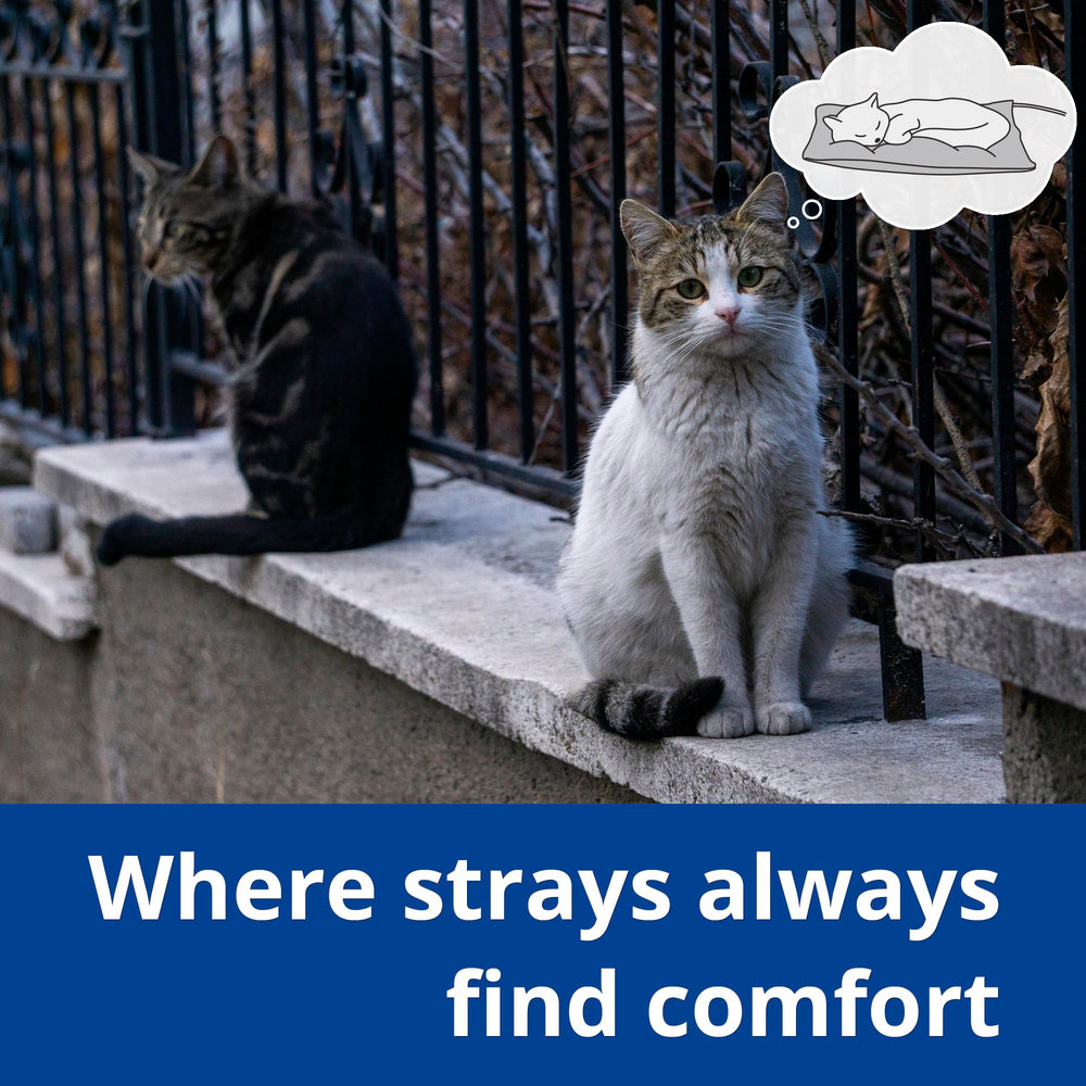 Petace outdoor heated cat bed machine washable cover keeps care simple.