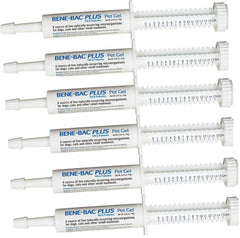 PetAg Bene-Bac Plus Gel 6-pack syringes, convenient at-home probiotic support.
