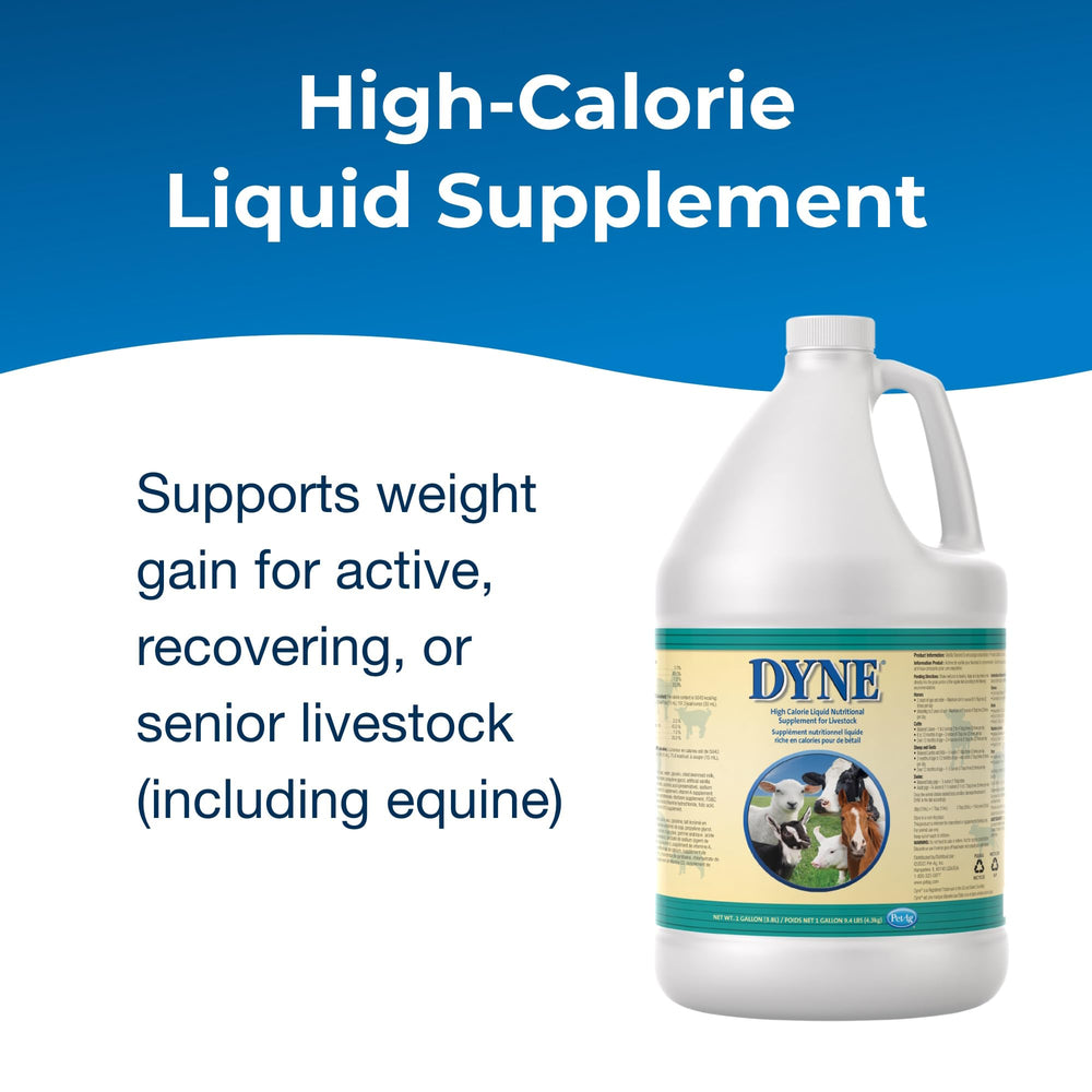 PetAg Dyne nutrition-dense energy boost for show-ready animals in small volumes.