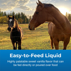 PetAg Dyne vitamin-enriched formula highlights added vitamins for daily support.