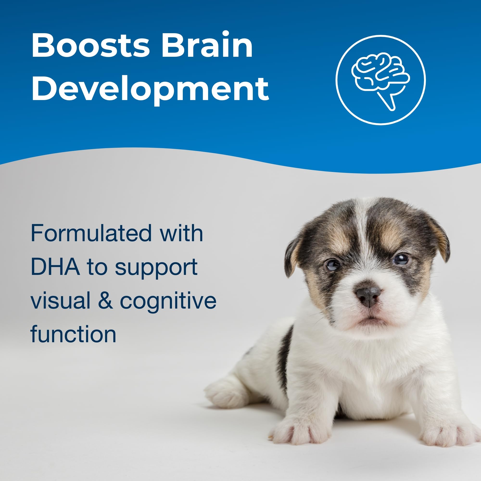 PetAg Esbilac 2nd Step brand label closeup, trusted milk replacer heritage.