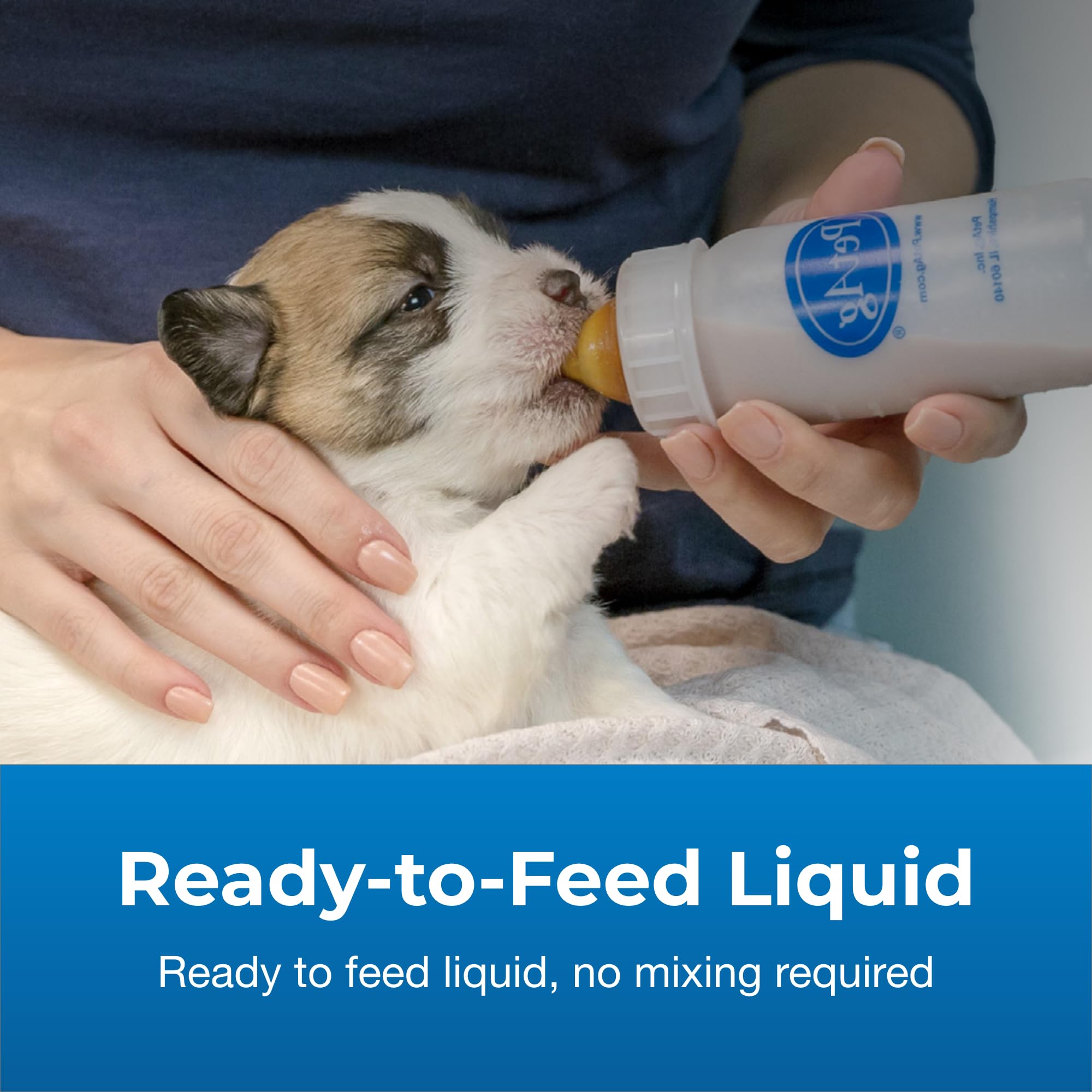 PetAg Esbilac liquid warm-to-room-temperature serving for comfortable feeding.