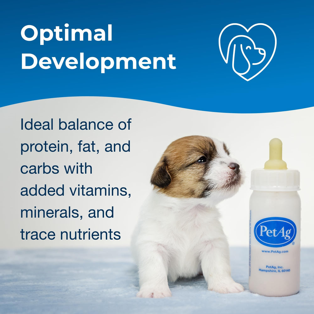 PetAg Esbilac newborn-puppy-feed-scene: caregiver-friendly setup for early life care