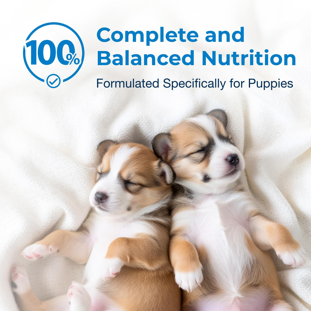 PetAg Esbilac nutrition label close-up highlighting balanced nutrients.