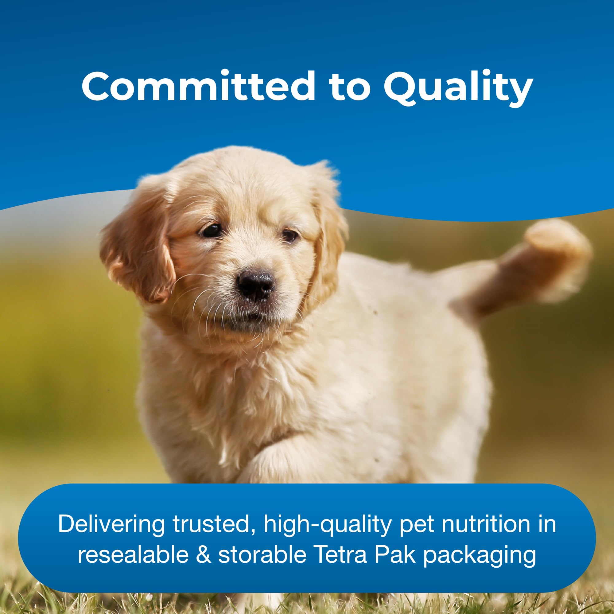 PetAg Esbilac storage in refrigerator after opening.