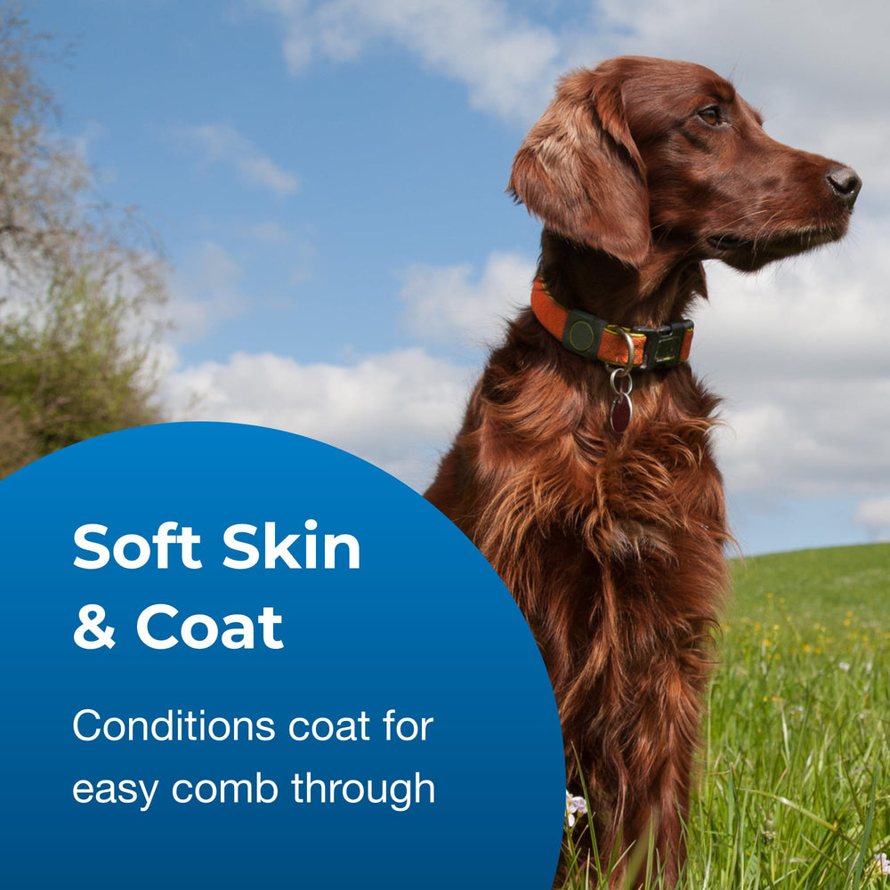 Close-up of vitamin E and aloe vera ingredients in PetAg rinse for soothing coat conditioning
