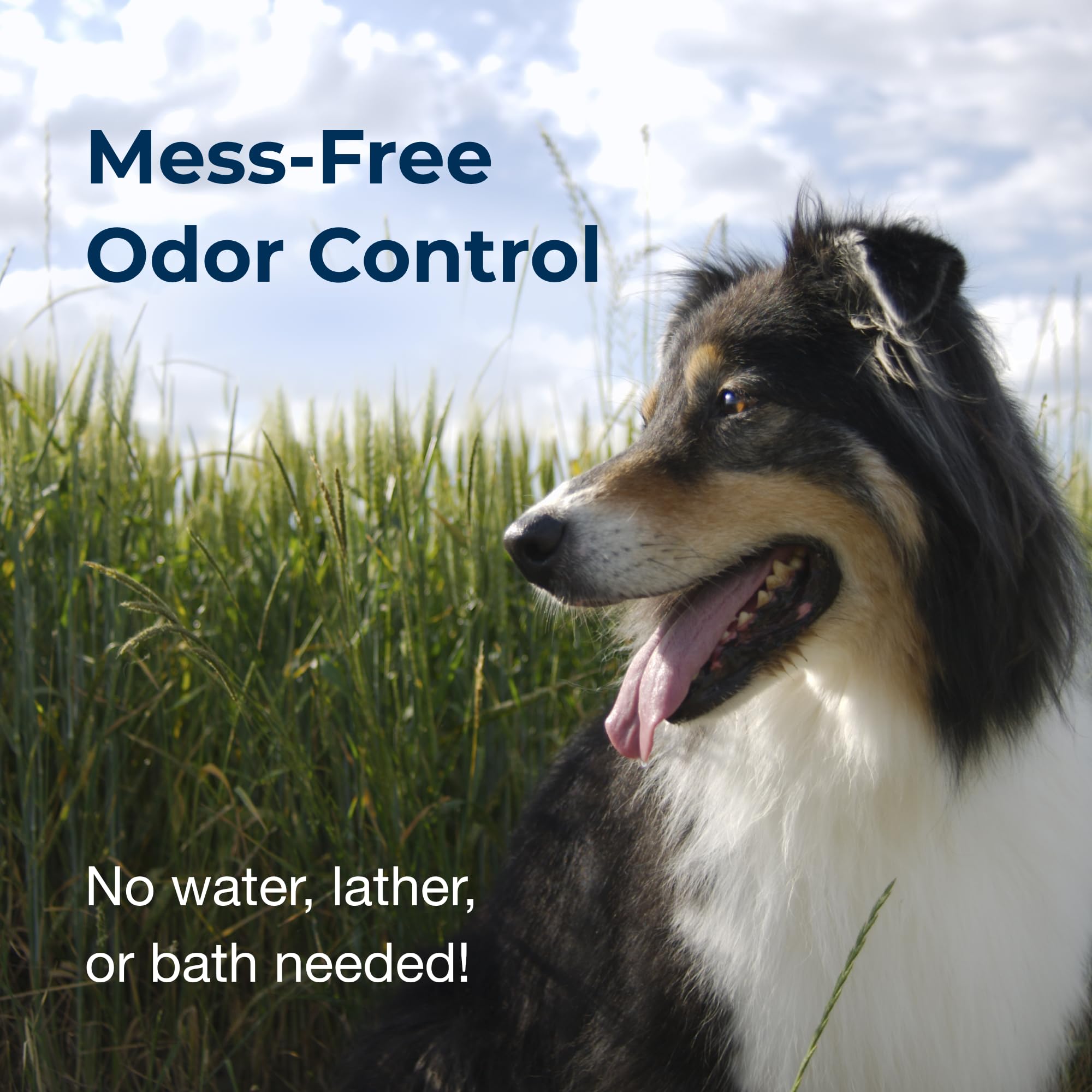 PetAg Fresh ’n Clean dog portrait illustrates refreshed coat and odor control.