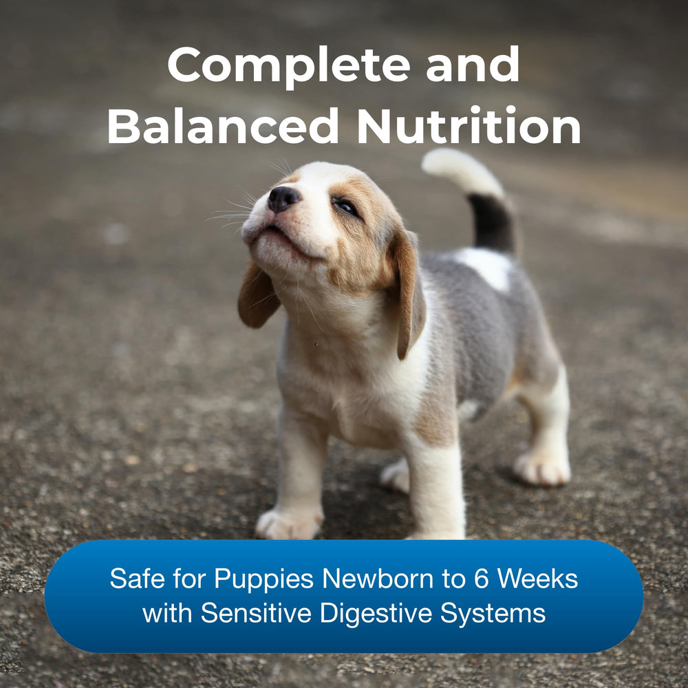 PetAg Goat’s Milk Esbilac powder mixed with warm water illustrates easy-to-digest puppy formula.