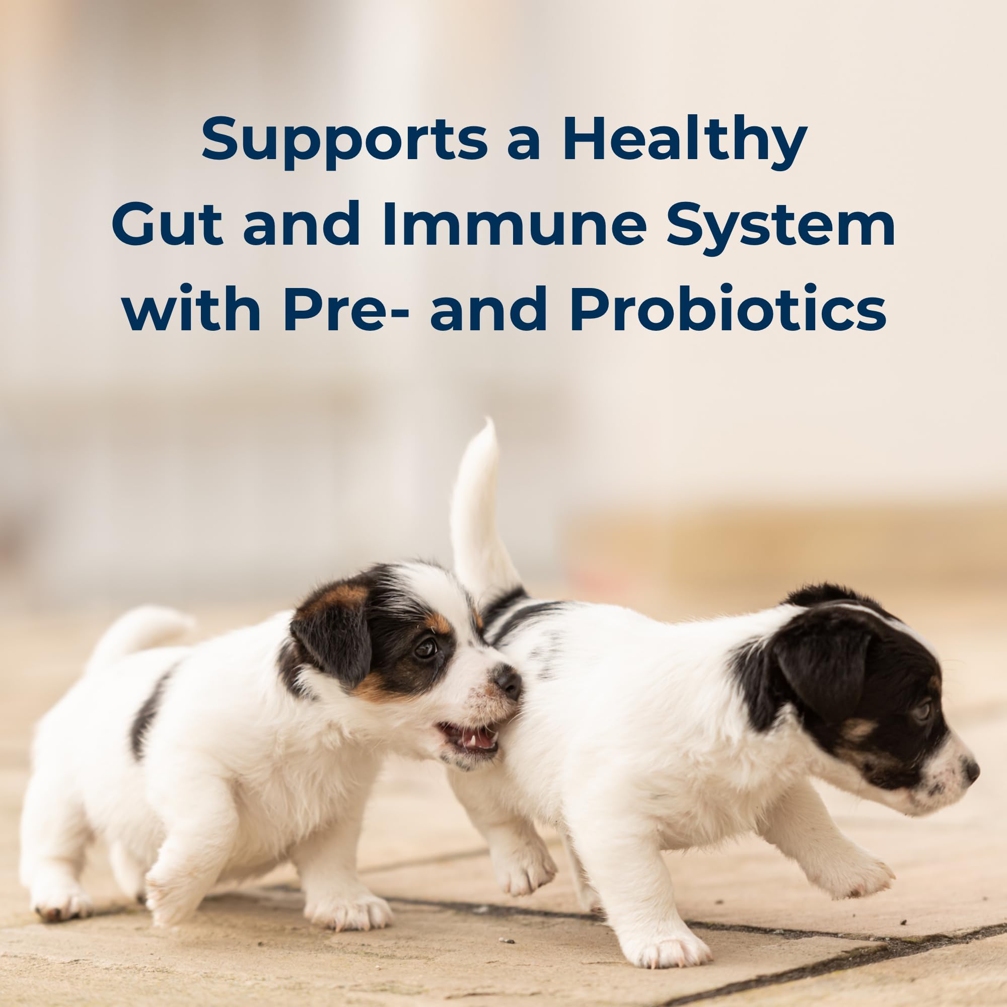 PetAg Goat’s Milk Esbilac prebiotics-probiotics logo highlights gut health options