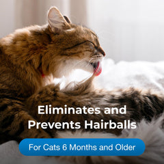 PetAg Hairball Solution Gel chicken-flavor close-up signals tasty administration.