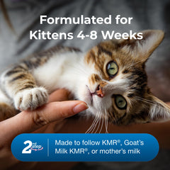 PetAg KMR 2nd Step kittens lapping from a bowl illustrates gentle transition.