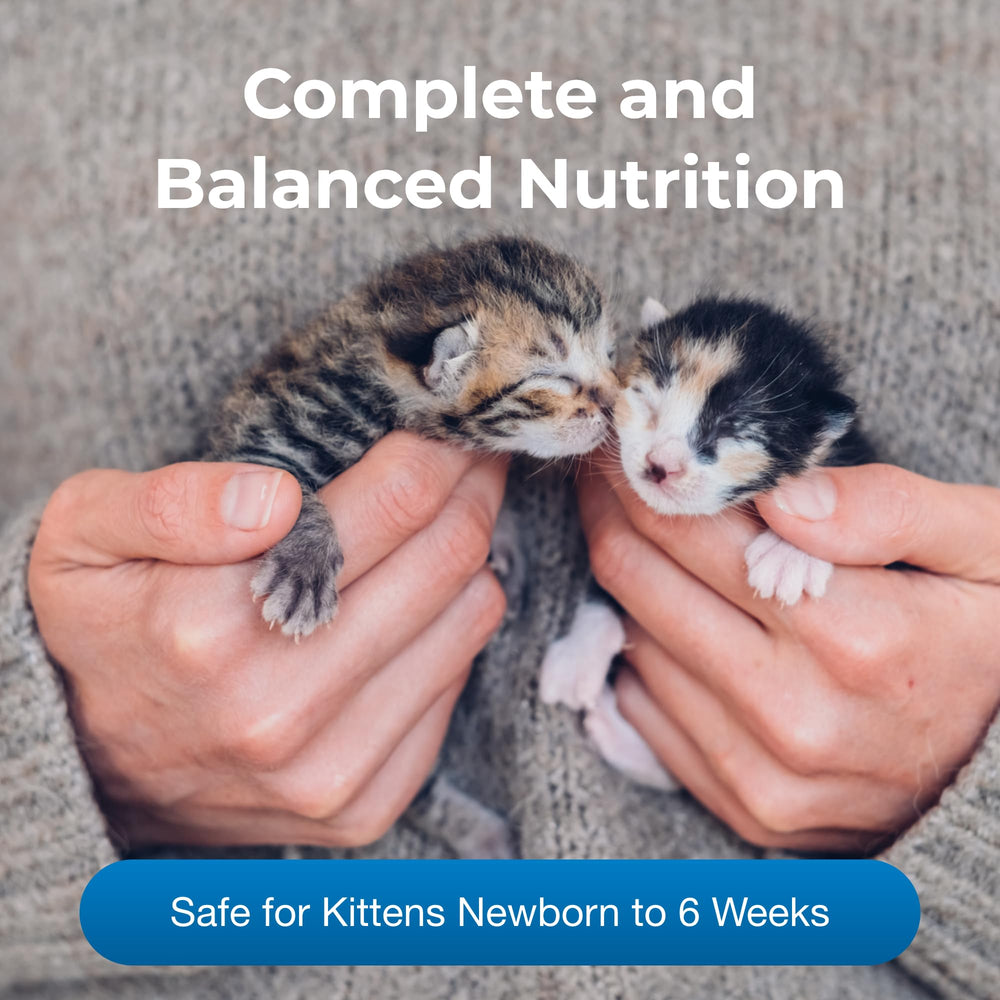 PetAg KMR kitten formula bottle highlights a palatable, easy-digest nutrition option.