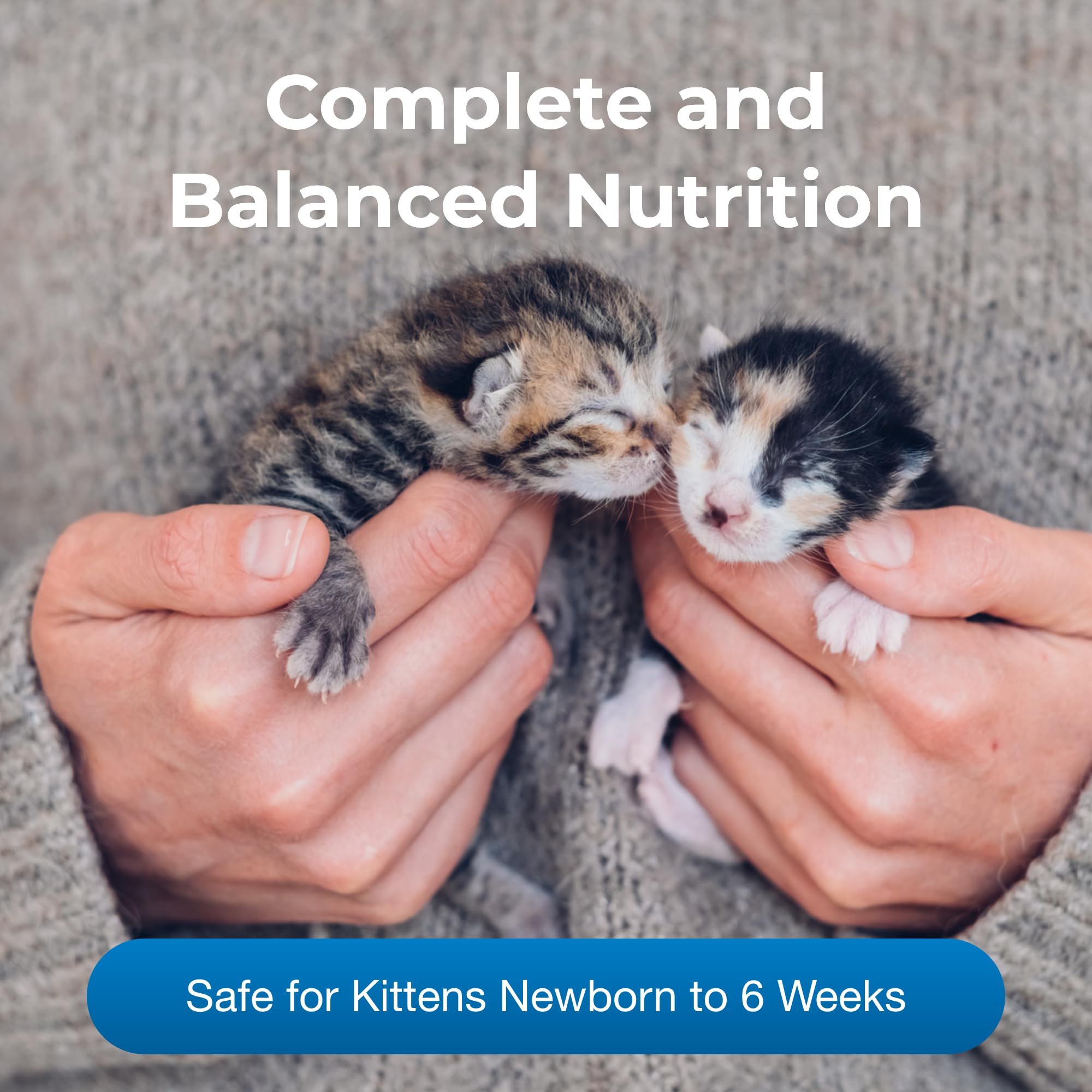 PetAg KMR prebiotic-probiotic formula highlights gut-friendly nutrition for kittens.