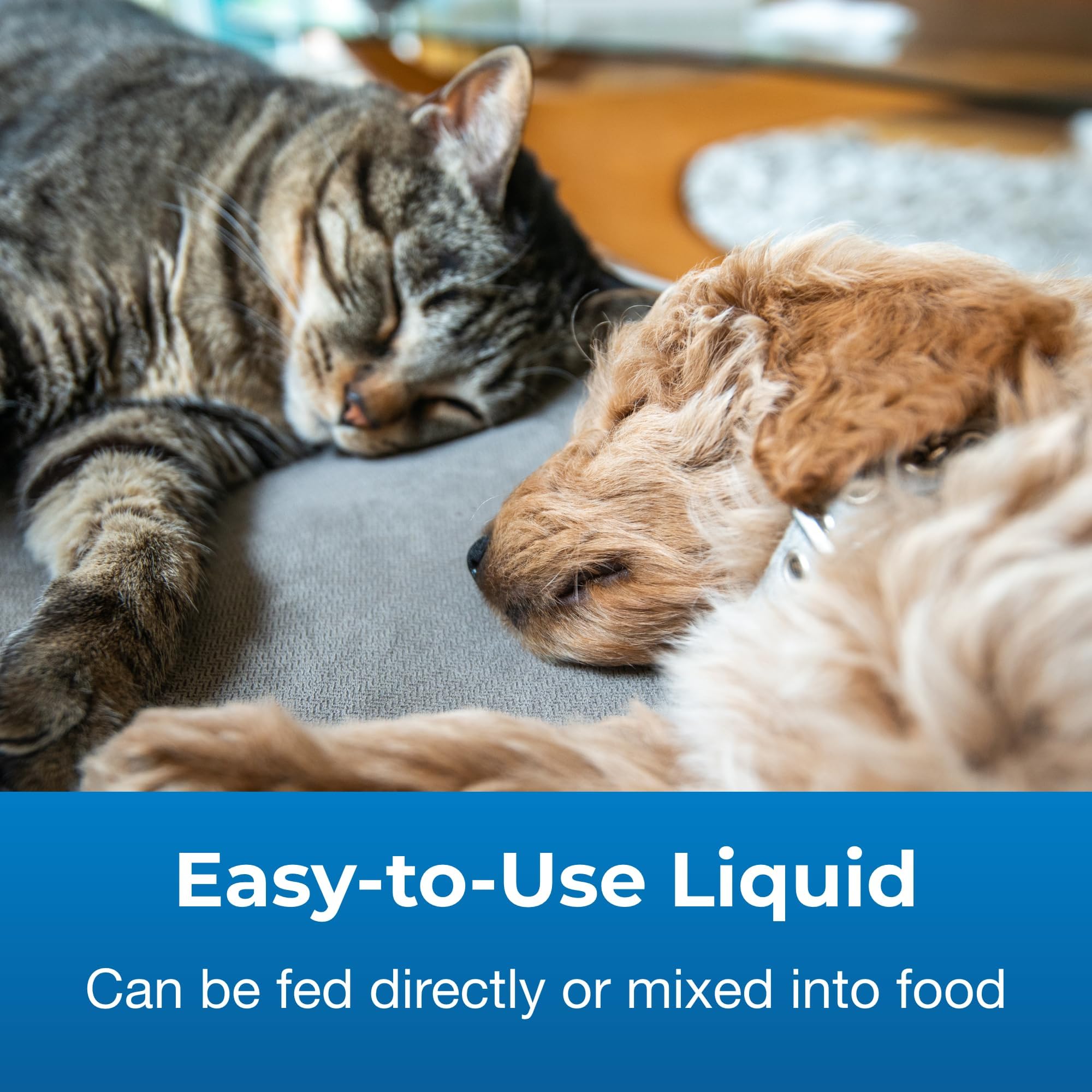 PetAg Pet Pectillin dosing-in-food demonstrates easy mixing with meals