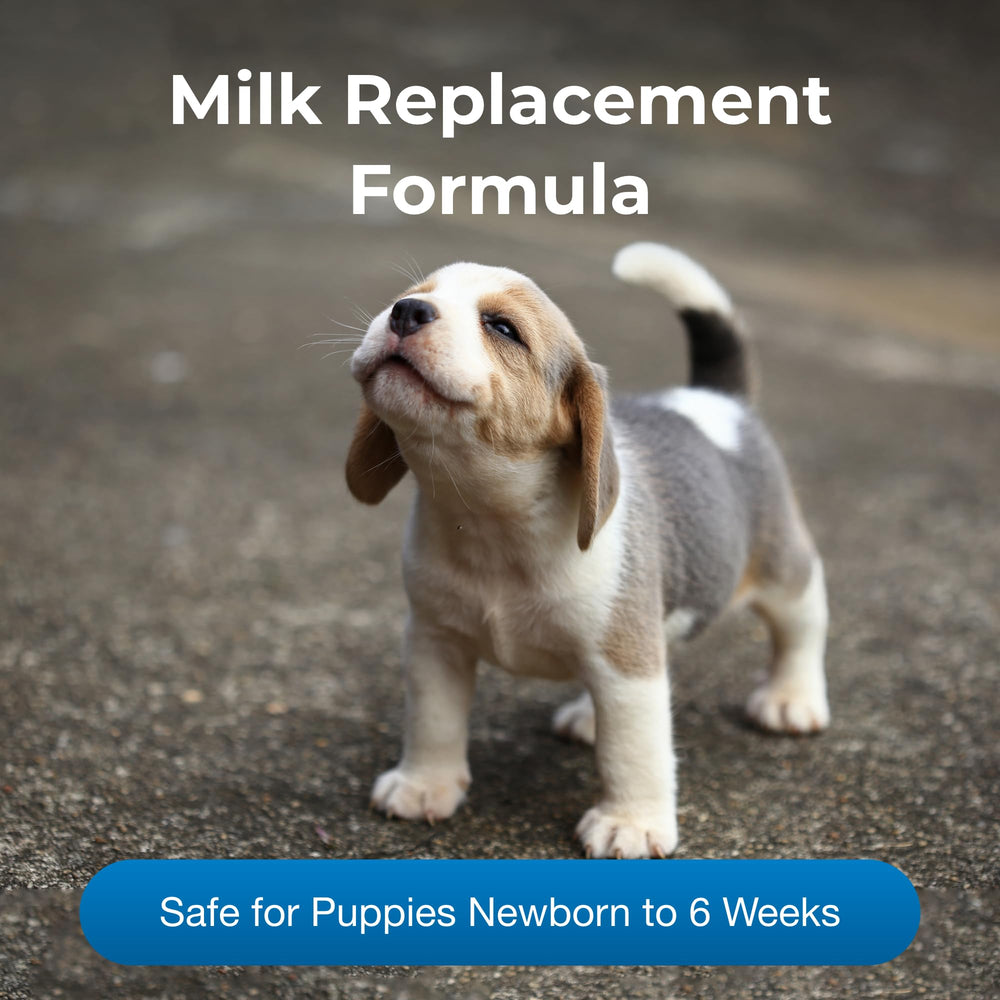 PetLac PetAg milk-protein ingredients closeup highlights the milk-based formula.