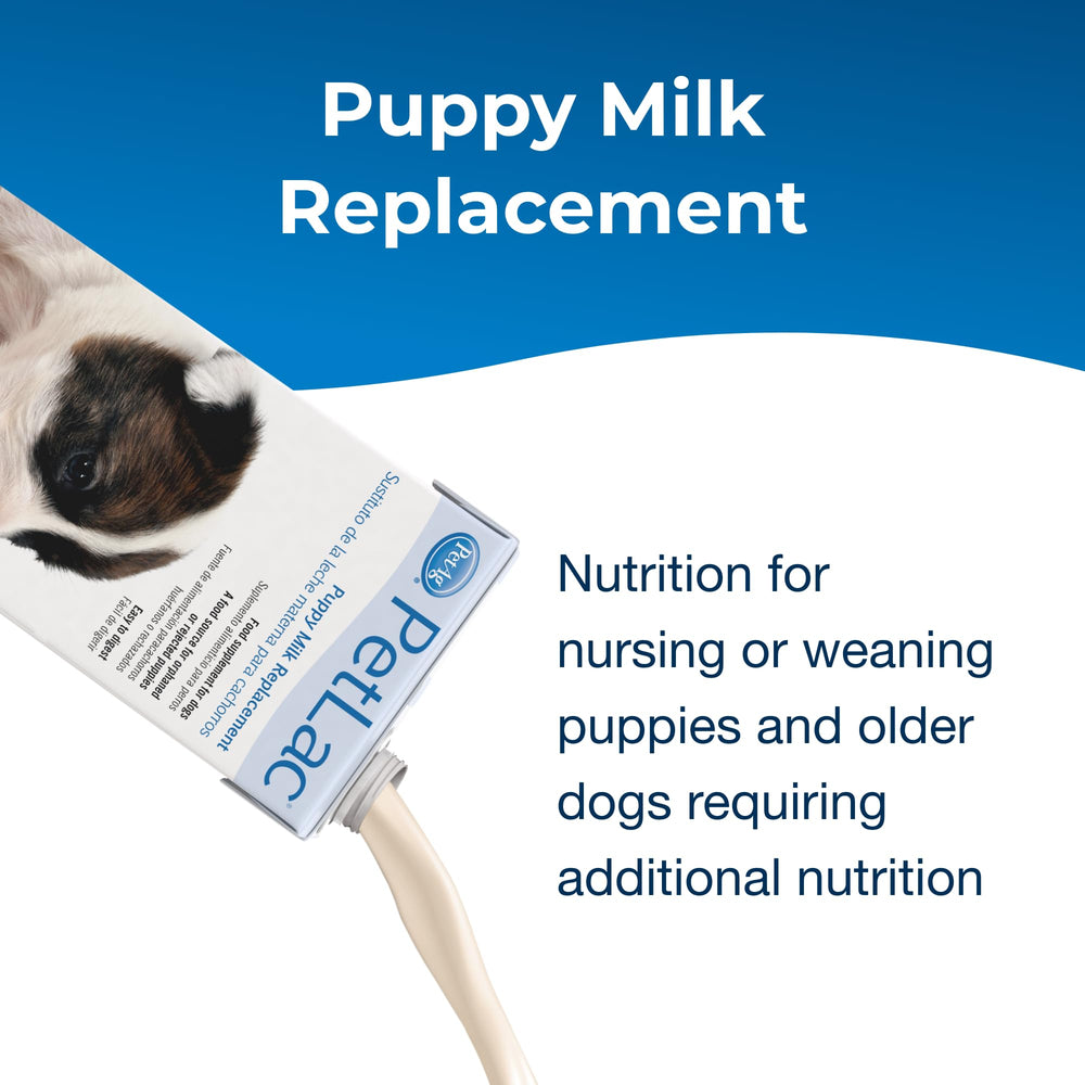 PetLac PetAg puppy pour demonstrates convenient dispensing for newborns.