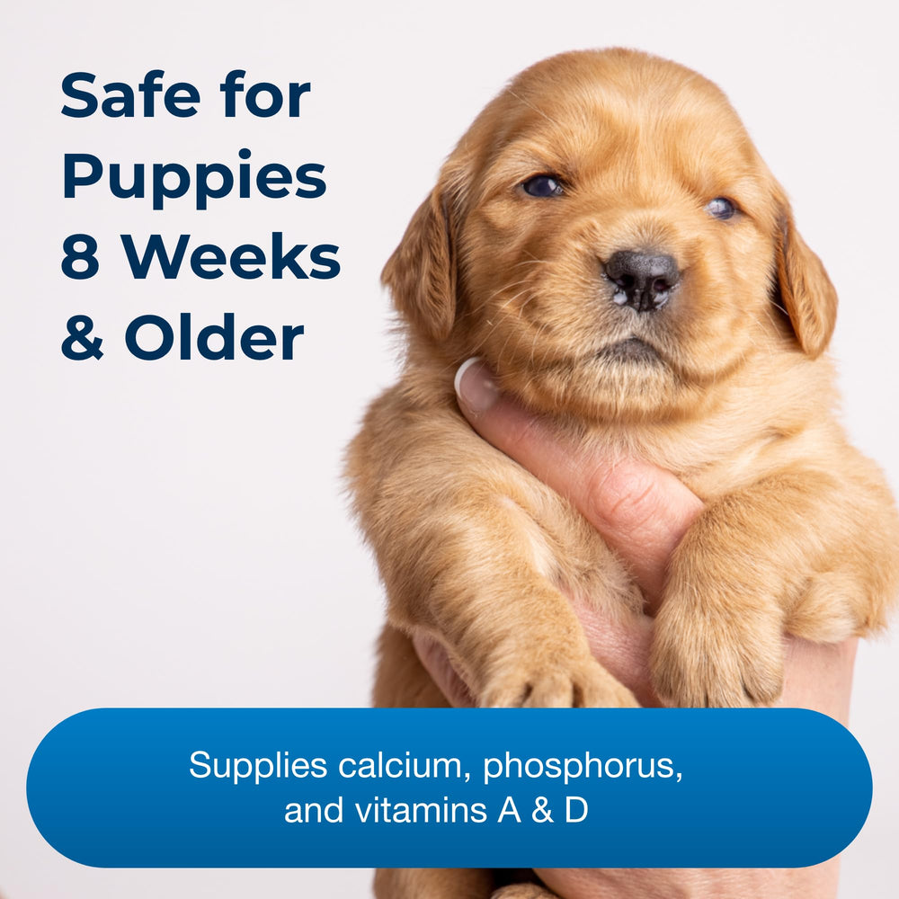 PetAg Sure Grow 100 dog eating food with mix-in for easy integration