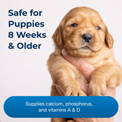 PetAg Sure Grow 100 dog eating food with mix-in for easy integration