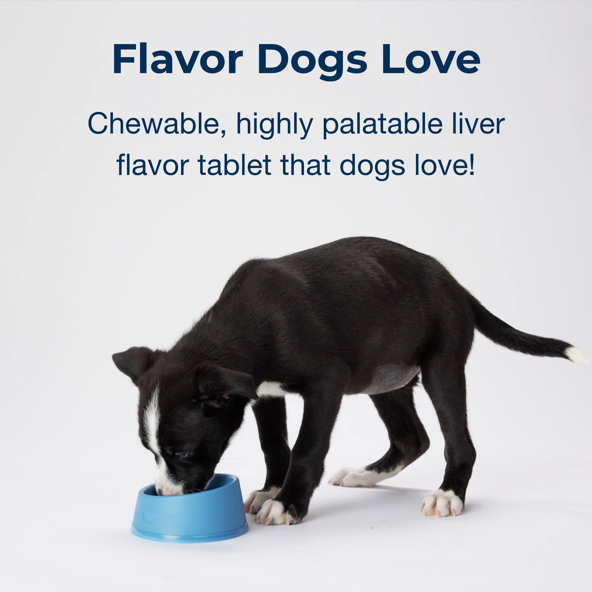 PetAg Sure Grow 100 vitamin A and D emphasis on skeletal health