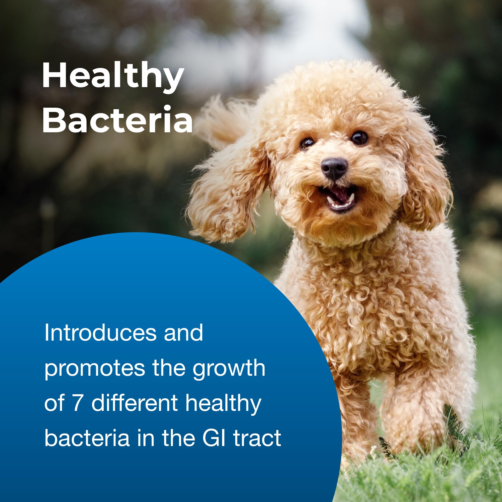 PetAg Bene-Bac Plus packaging showing product benefits and ingredients