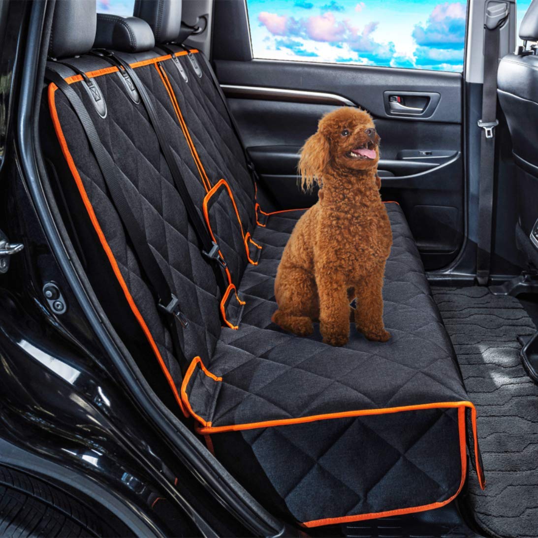Petalage Car Seat Protector front-seat-coverage keeps hair off upholstery.
