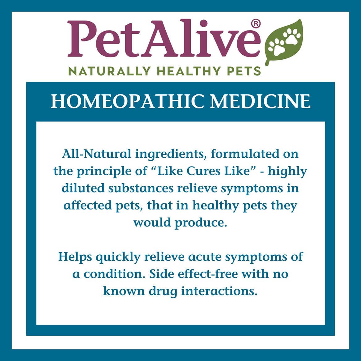 PetAlive ComfyPet-countertop-setup shows ready-to-use product at home.