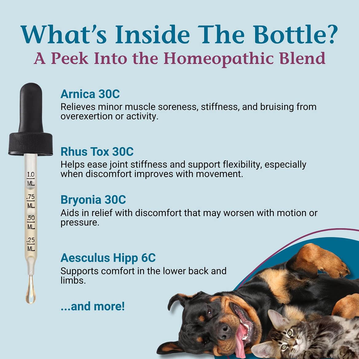 PetAlive ComfyPet-dog-walk-use shows a pet enjoying smoother daytime activity.