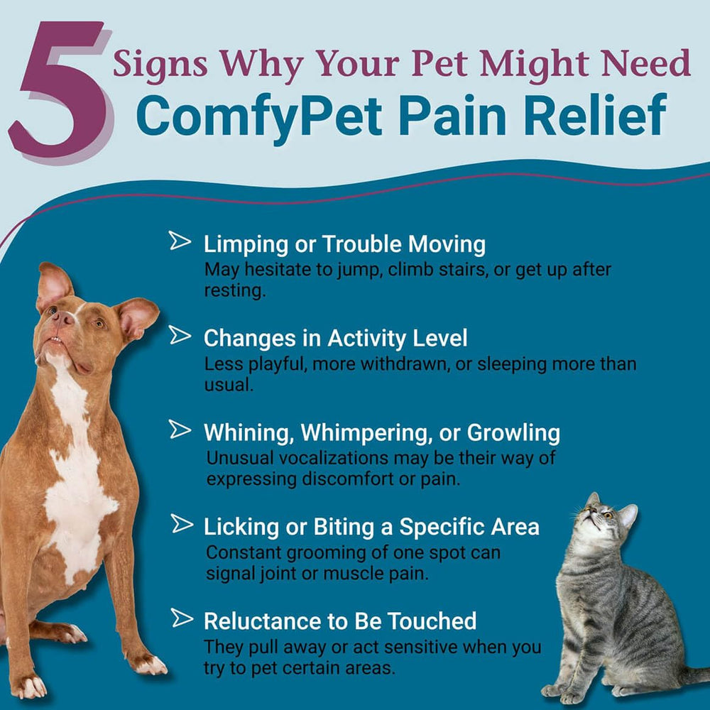 PetAlive ComfyPet-dropper facilitates easy dosing for dogs and cats.