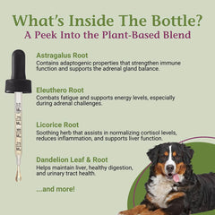 PetAlive Cushex Drops-S ingredients emphasize herbal adrenal balance.