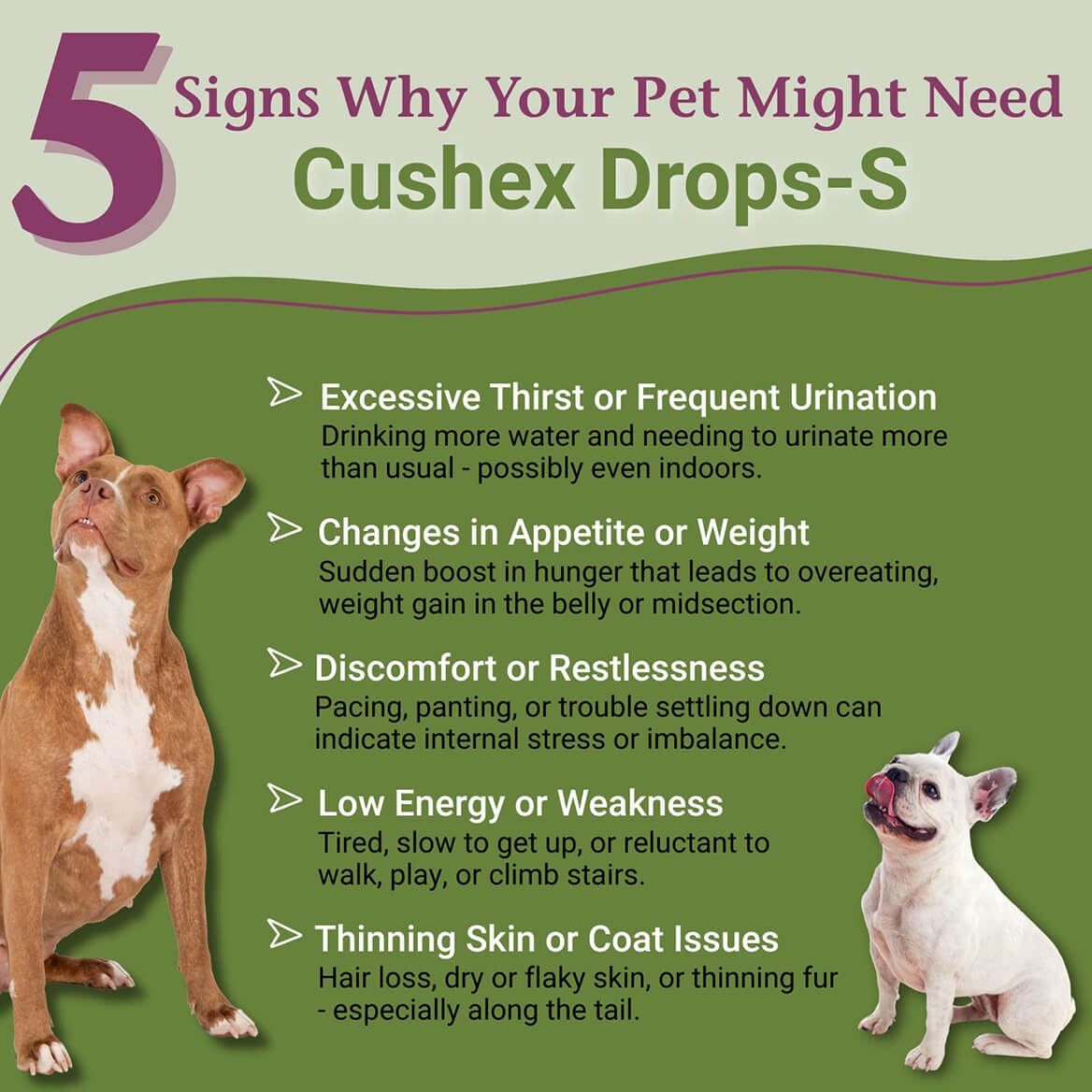PetAlive Cushex Drops-S label highlights premium herb blend and safety.