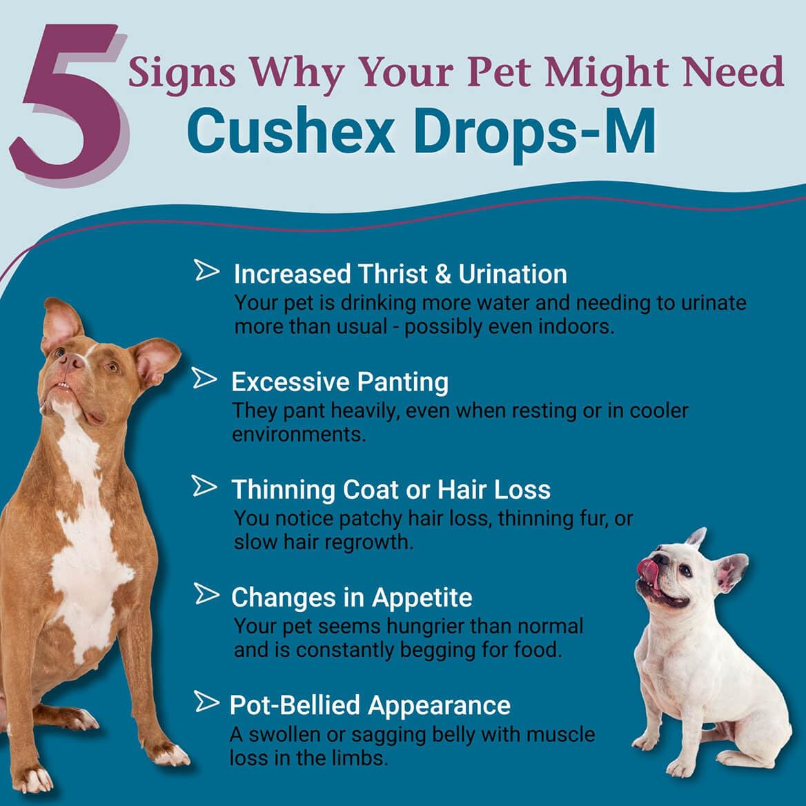 PetAlive Cushex Drops-M bottle-closeup-label showing safe, homeopathic formulation and HPUS-listed ingredients.