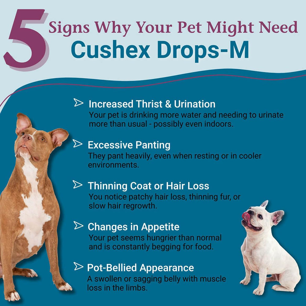 PetAlive Cushex Drops-M bottle-closeup-label showing safe, homeopathic formulation and HPUS-listed ingredients.
