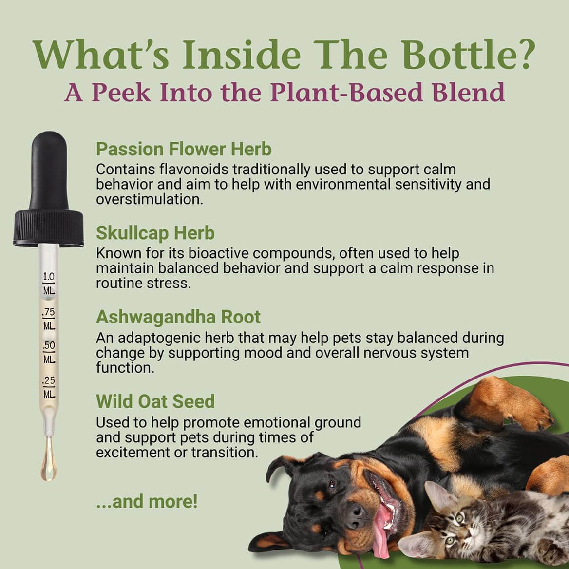 PetAlive EaseSure-S with cat using drops during a calm routine.