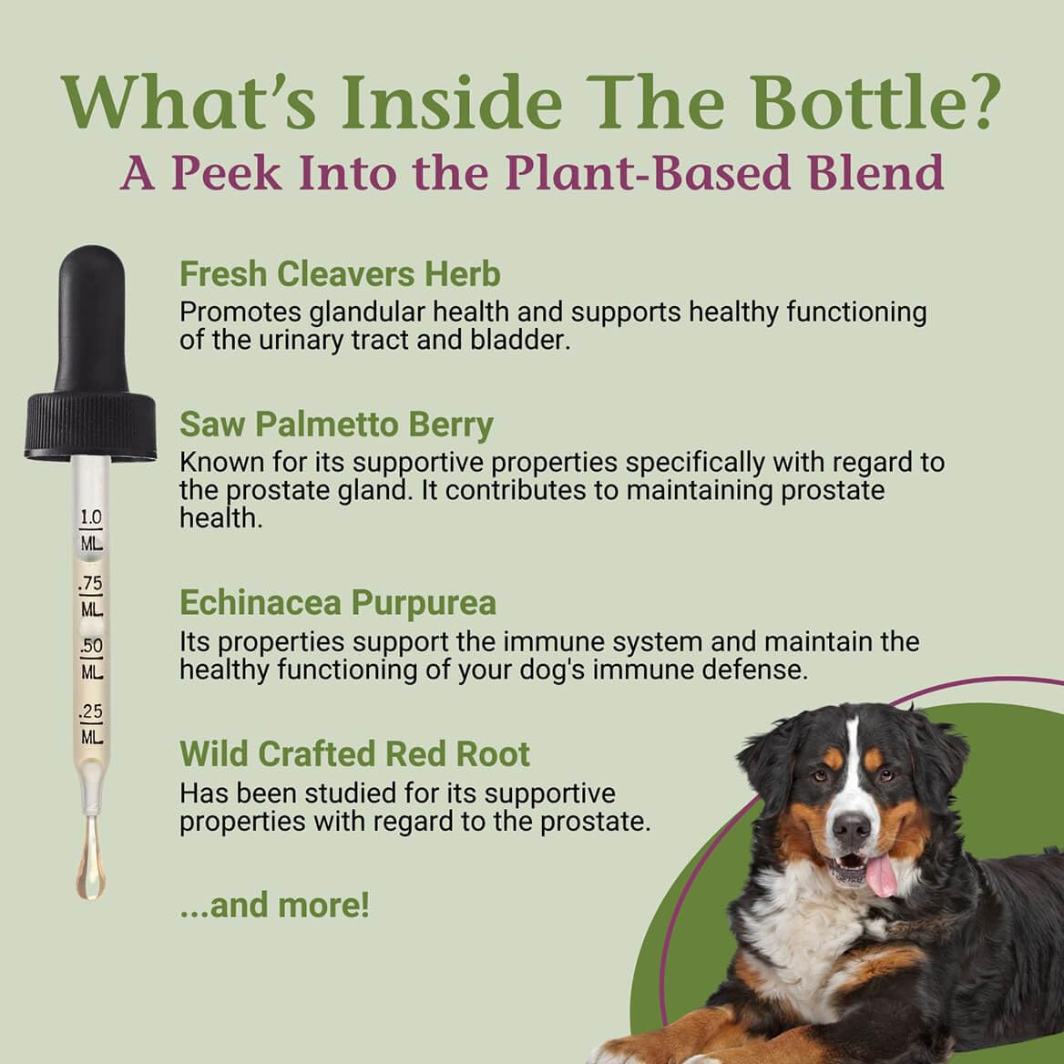 PetAlive ProsPet Drops packaging box indicating 59 ml convenient dosing.